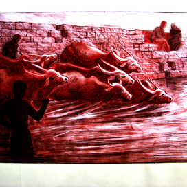 Купание быков