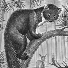 И кто там так орет?