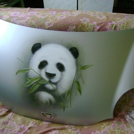 паннда на капоте