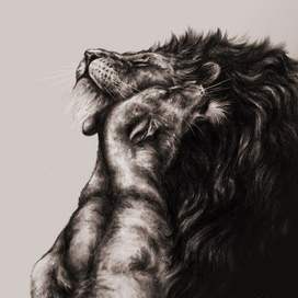 львиная нежность