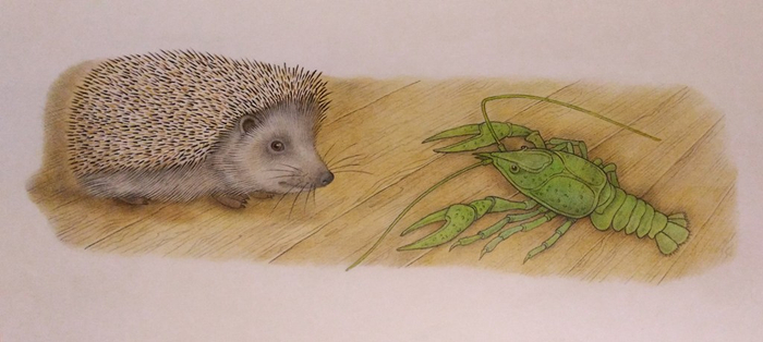 Ты кто такой?