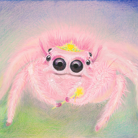 "Все девочки принцессы"