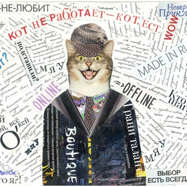 коллаж кот не работает кот ест