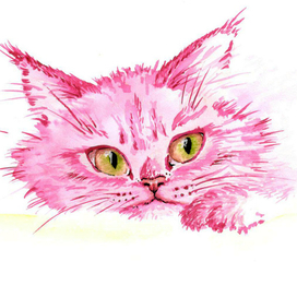 Розовая кошка