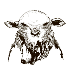 темный фразеологизм