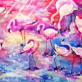 Фламинго в лучах заката