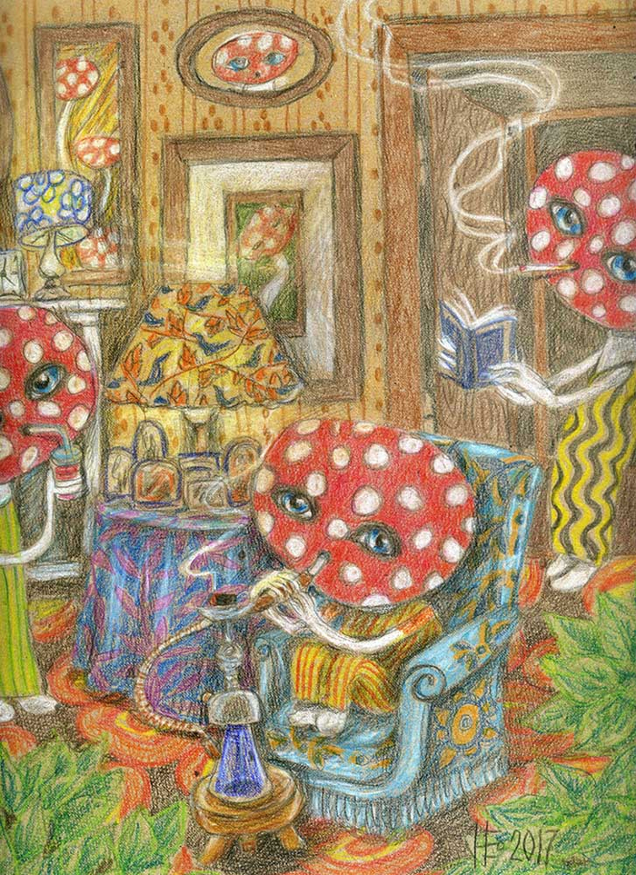 вечер пятницы. грибной сезон