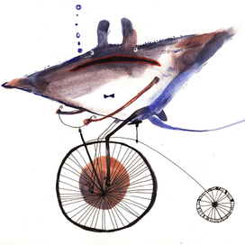 Это чё, скат на велике?