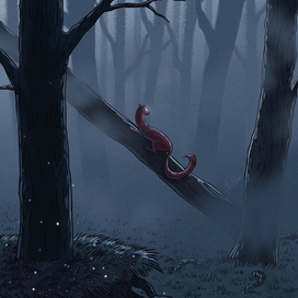 Туманный лес 