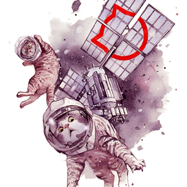 Иллюстрация для Kokos Social Media 3