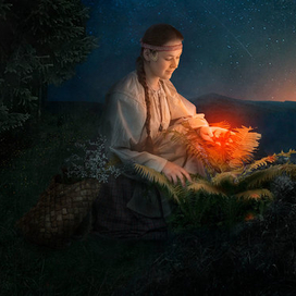 "Цветок папоротника"