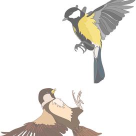 Воробей и синица