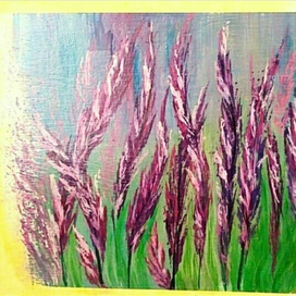 Лаванды россыпь