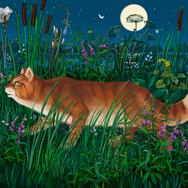 Кот Тимофей крадется  по берегу озера.