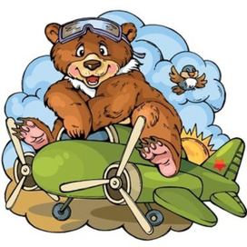 Медведь пилот