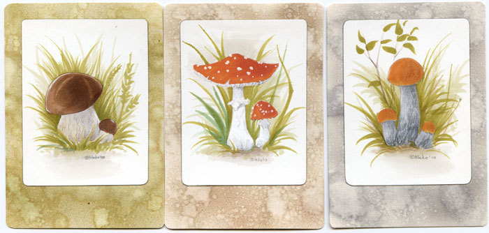 АСЕО - грибы