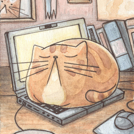 Кот на ноутбуке