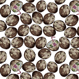 Акварельный паттерн из кокосов на белоm фоне.