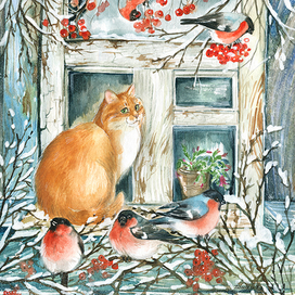 У зимнего окна