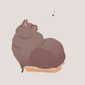 Кошка 2. Фаина