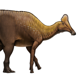 Amurosaurus