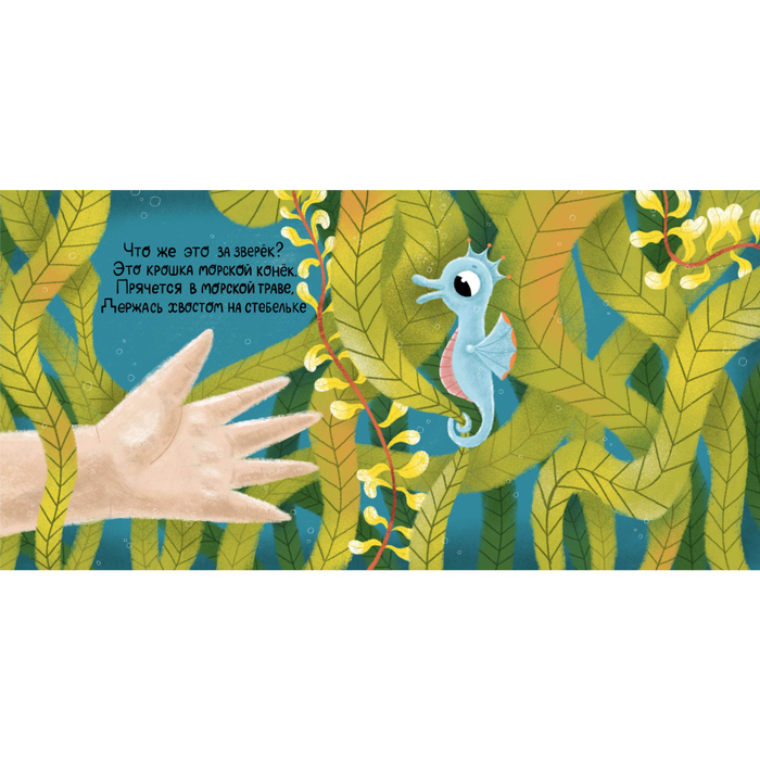 "Кто живет в море" Морской конёк