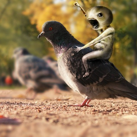 Не ссы! ПрорвЁмся! 