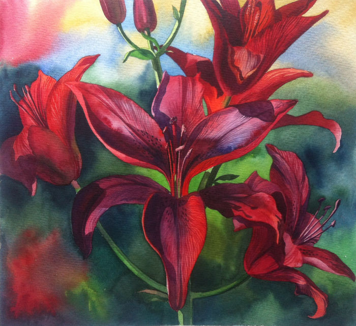 Красная лилия