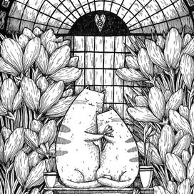 Котеньки в Питере