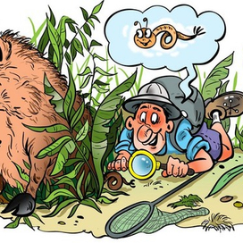 обложка для книги