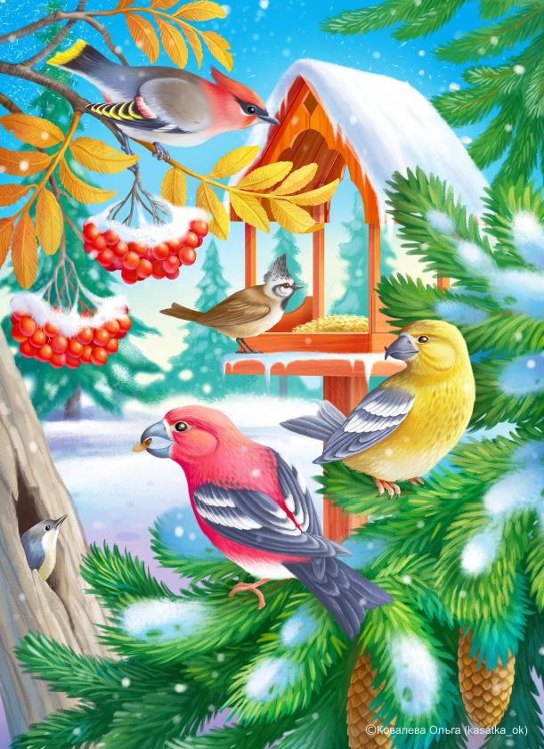 Птицы зимой