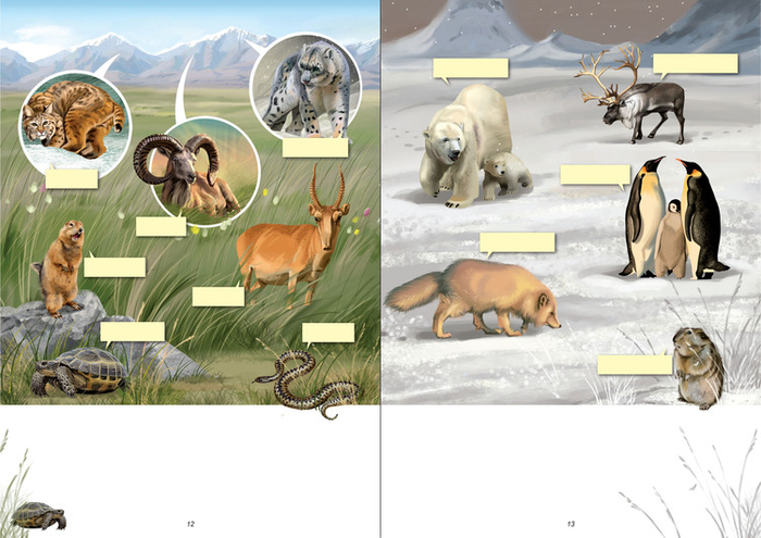 Мир который я люблю