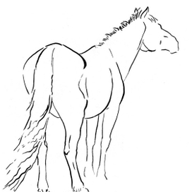 лошадка-а-а...