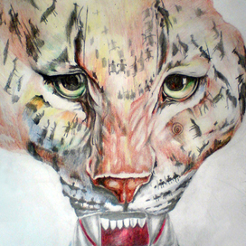 рисунок иллюстрация