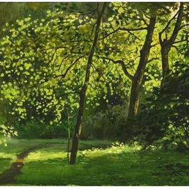 Деревья залитые солнцем