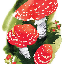 Иллюстрация к детской книге "Семь Цветов Радуги"