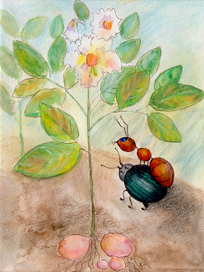 " Как муравьишка домой спешил" В.Бианки