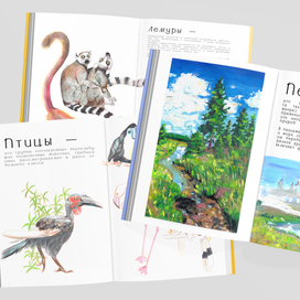 Иллюстрации