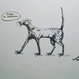 Пойду на наготочки... 