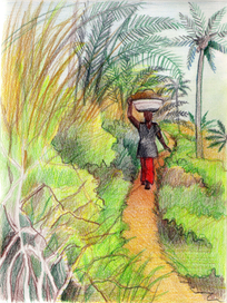 Кот-Д’Ивуар 