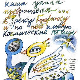 космические птицы