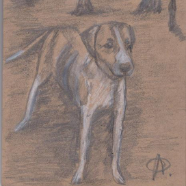 серия мой Кисловодск давай дружить