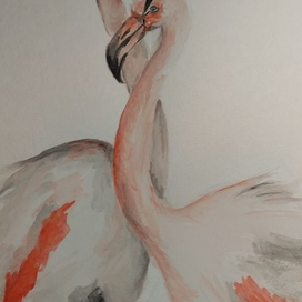 розовое чудо