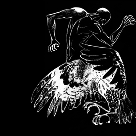 книга "птицы"