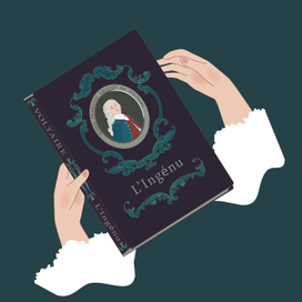 Книга Вольтера