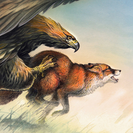 Алджел-Той. Берёт...!