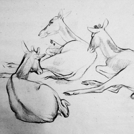 ну вот, поели - теперь можно и поспать