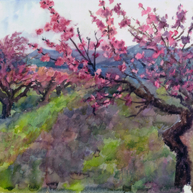 Персиковый сад под дождём