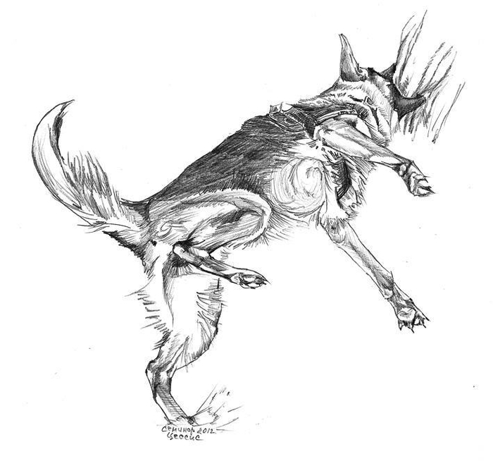 Цесса на защите