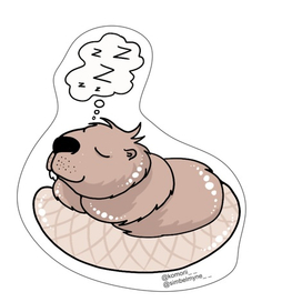 Мистер Бобер